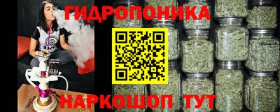 мяу мяу мука Гусев