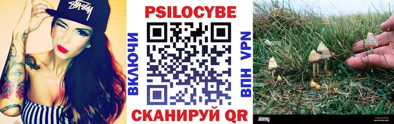 ссылка на мегу онион Муром Галлюциногенные грибы GOLDEN TEACHER