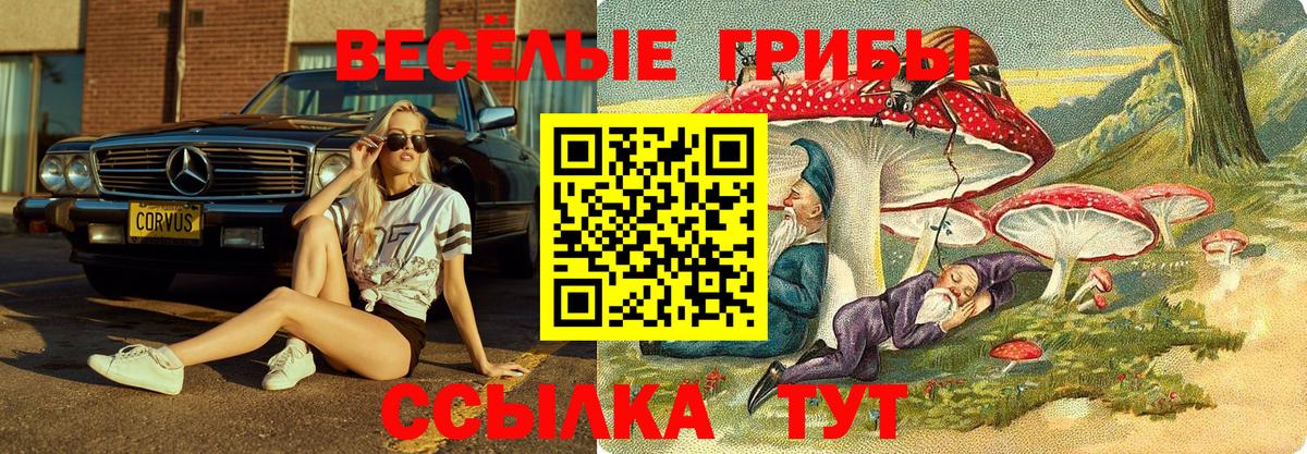 Галлюциногенные грибы Magic Shrooms  Вход с VPN  Псилоцибиновые грибы GOLDEN TEACHER  Муром 