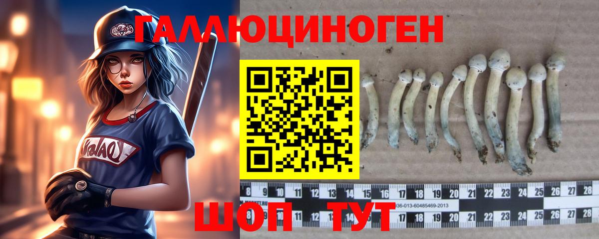 Галлюциногенные грибы MAGIC MUSHROOMS Муром